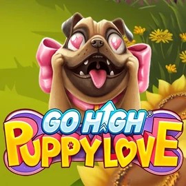 Go High Puppy Love by RubyPlay, showcased at scoredcasinoo.eu – game logo