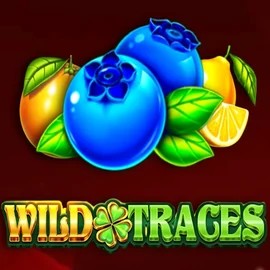 Enjoy Wild Traces by Amusnet Interactive – logo hosted on scoredcasinoo.eu